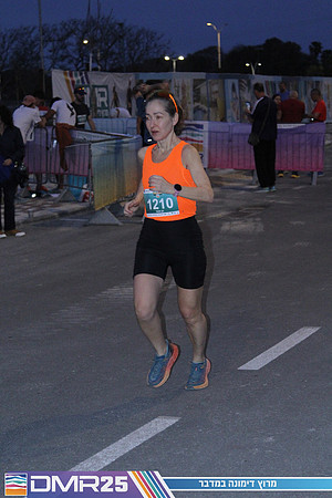 MP_DMR25-0093