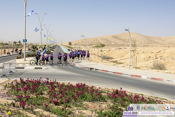 TFeder-rwh-24-0785