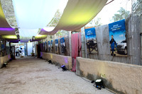 TF_F-estival-22-0631