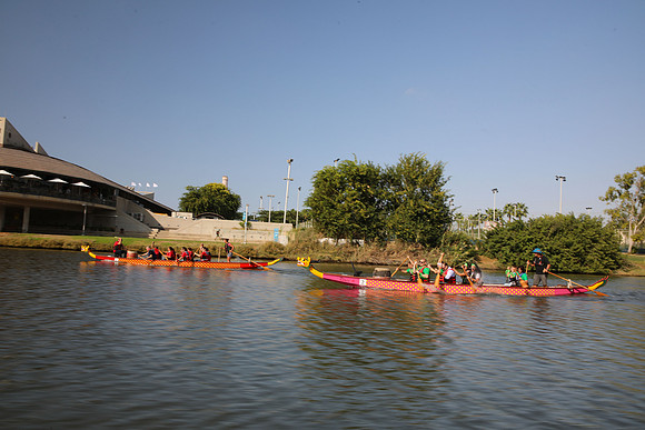 TF_dbd-201022-1342