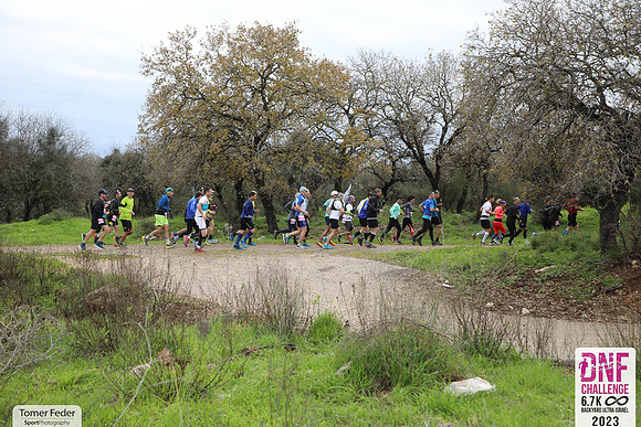 TFeder_DNF23-0531