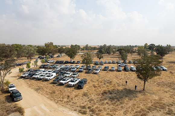 TF_F-estival-22-0085