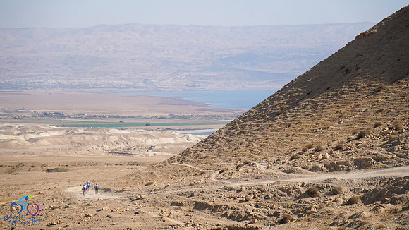 HL_WOL24-235