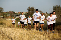 TF-rfl22-0201