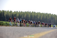 TFeder_ILC-Road24-0414