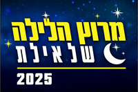 Logo Eilat night