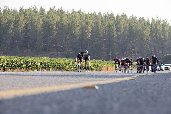 TFeder_ILC-Road24-0366