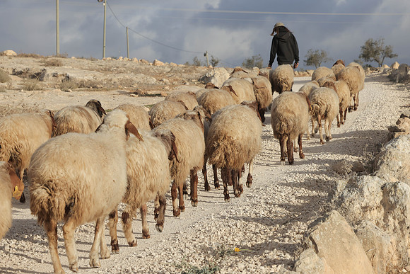 RT_drorun24_0145
