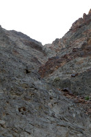 TF_esrp_080521-281
