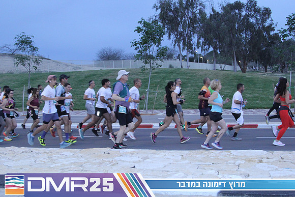 MP_DMR25-0129