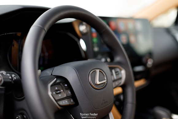 TF_Lexus-nx450h-197