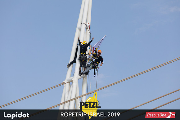 TF_prt19-2197
