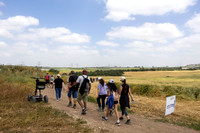 TF_Gezer_hm-24-0905