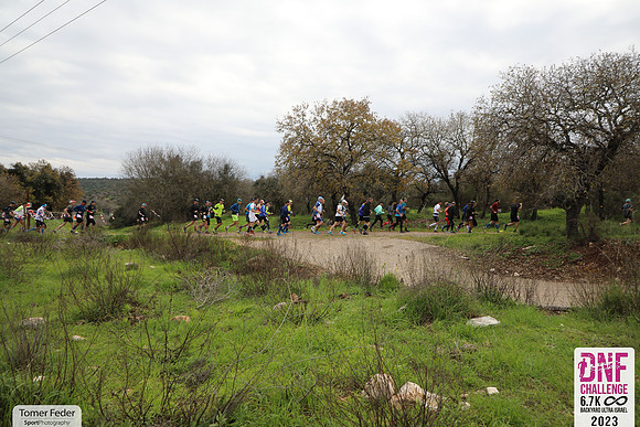 TFeder_DNF23-0529