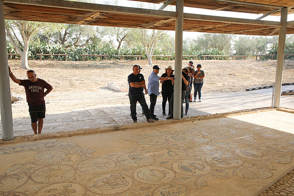 TF_F-estival-22-0390