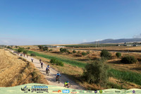 DJI_0174