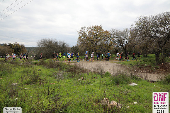 TFeder_DNF23-0528