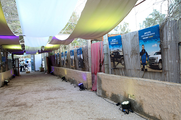 TF_F-estival-22-0631