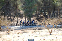 TF_Bartali-top24-0944