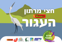 מיתוג תמונות-04