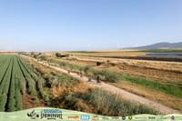 DJI_0165