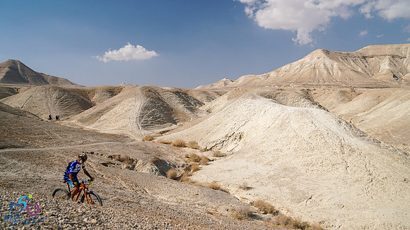 HL_WOL24-135