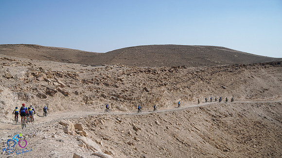 HL-d2_WOL24-025
