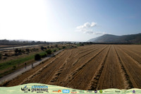DJI_0167