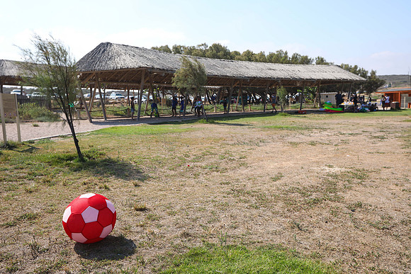 TF_Yoav_BM_100818-0106