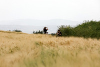 TF_Gezer_hm-24-0929
