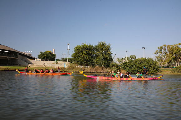 TF_dbd-201022-1339
