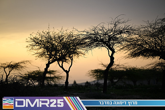 EY_DMR25-0581