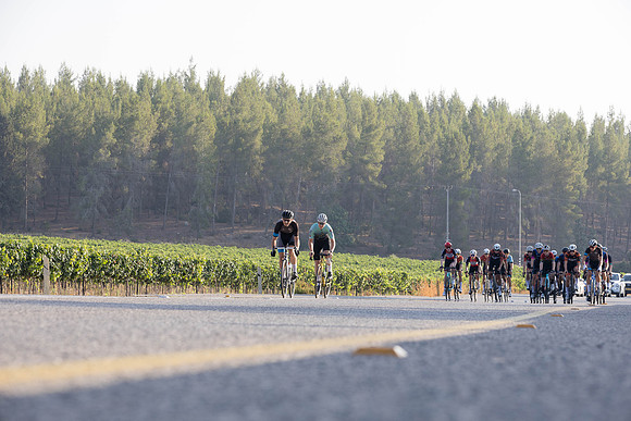 TFeder_ILC-Road24-0368