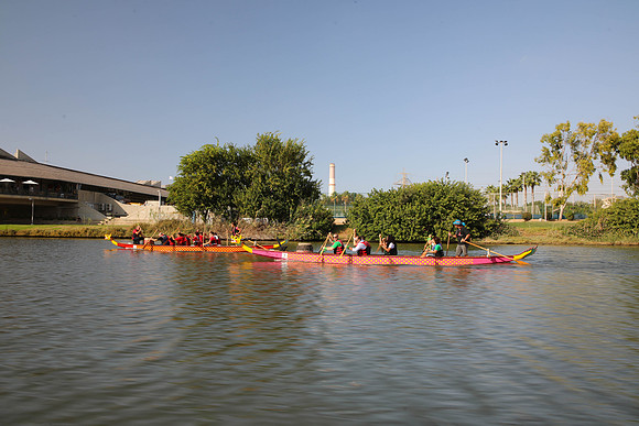 TF_dbd-201022-1327