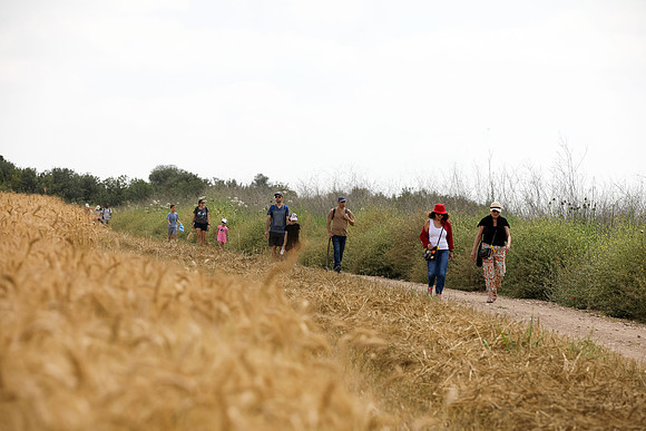 TF_Gezer_hm-24-0938