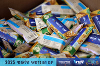 TF_OrtRun-25-0013