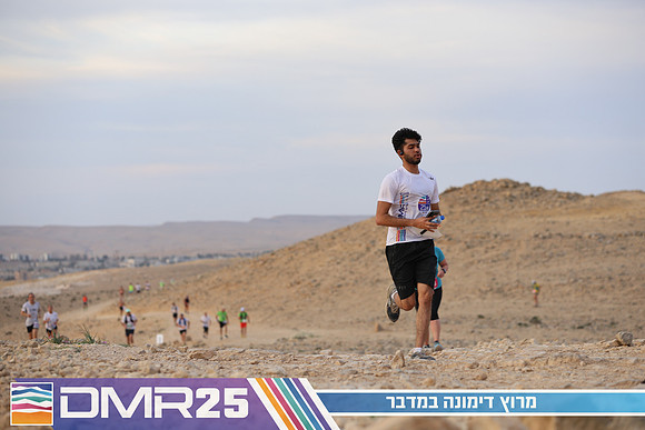 TF_DMR25-0595