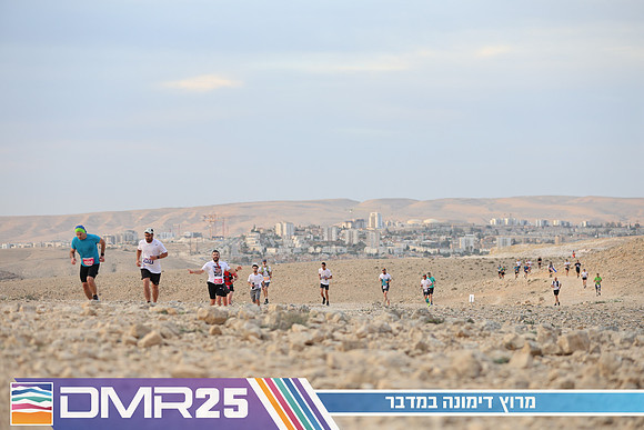 TF_DMR25-0242