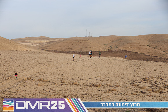 TF_DMR25-1037