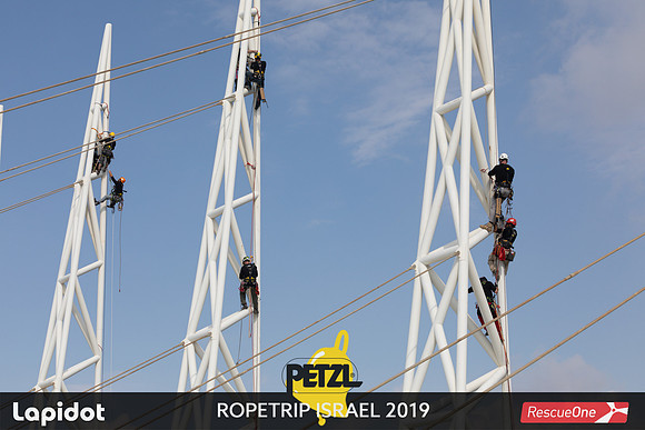 TF_prt19-2175