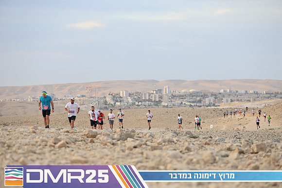TF_DMR25-0239