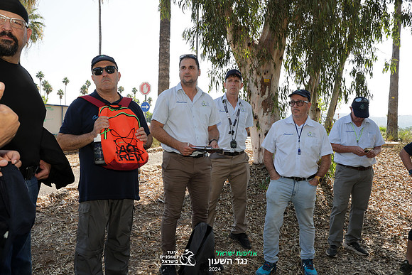 TFeder_ILC-ITT24-1239