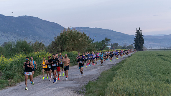 IG-3151(c)Itamar Grinberg