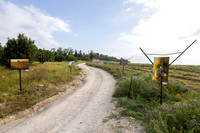 TF_Gezer_hm-24-0057