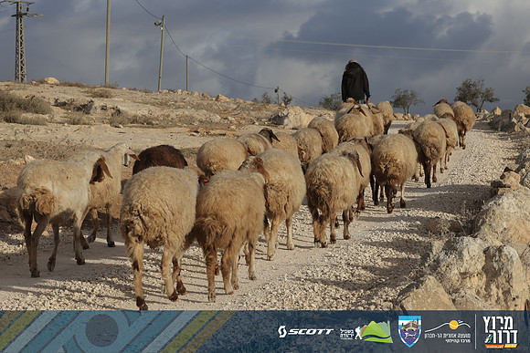 RT_Drorun24-0146