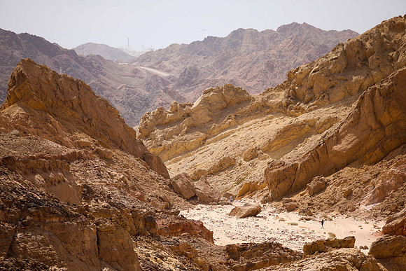 TF_esrp_070521-201
