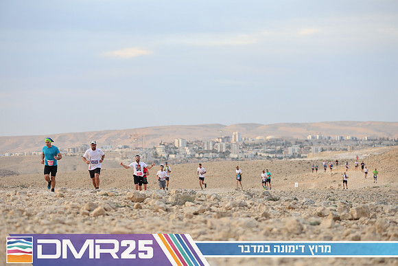 TF_DMR25-0243