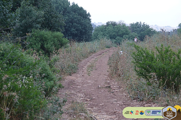 AK_TVR24-0018