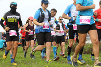 TF_DNF22-0313