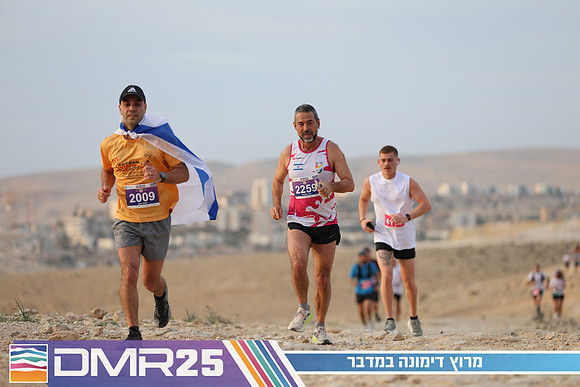 TF_DMR25-0323
